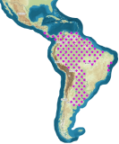 mapa rozšíření Blaptica dubia